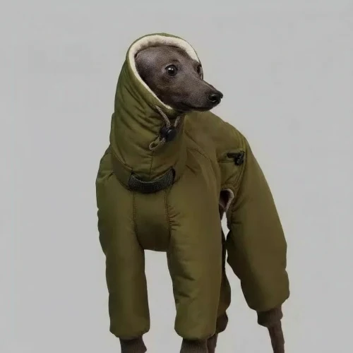 Manteau imperméable haute qualité pour lévrier, whippet et greyhound – Oscar & Plume