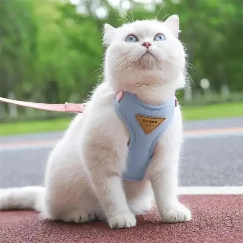 Harnais chat Duomm - Ajustable et anti-fugue