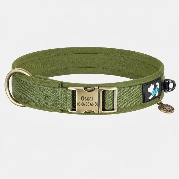 Collier Pour Chien Personnalisable Rembourré