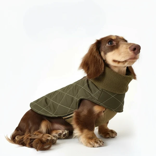 Manteau d'hiver kaki Oscar & Plume : vêtement pour teckel chaud, imperméable et réglable