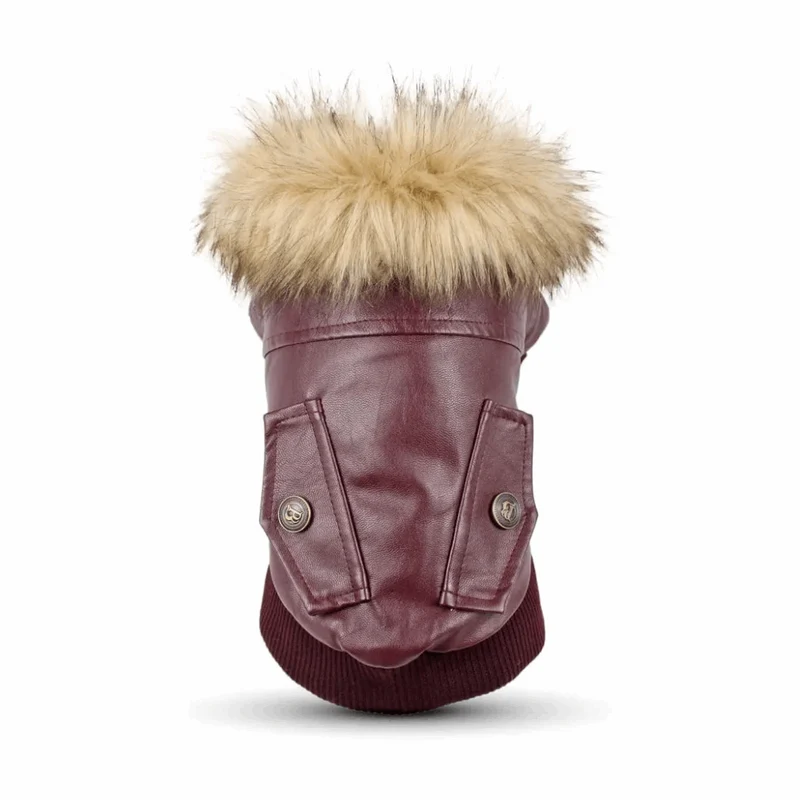 Manteau Chaud Et Imperméable Pour Chien