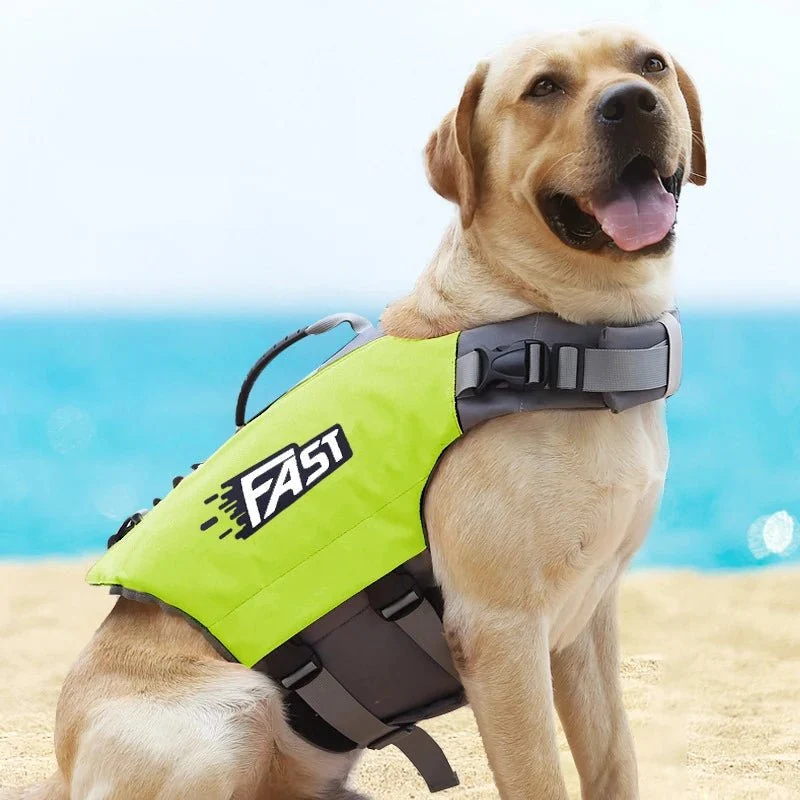 Gilet De sauvetage Résistant Pour Chien