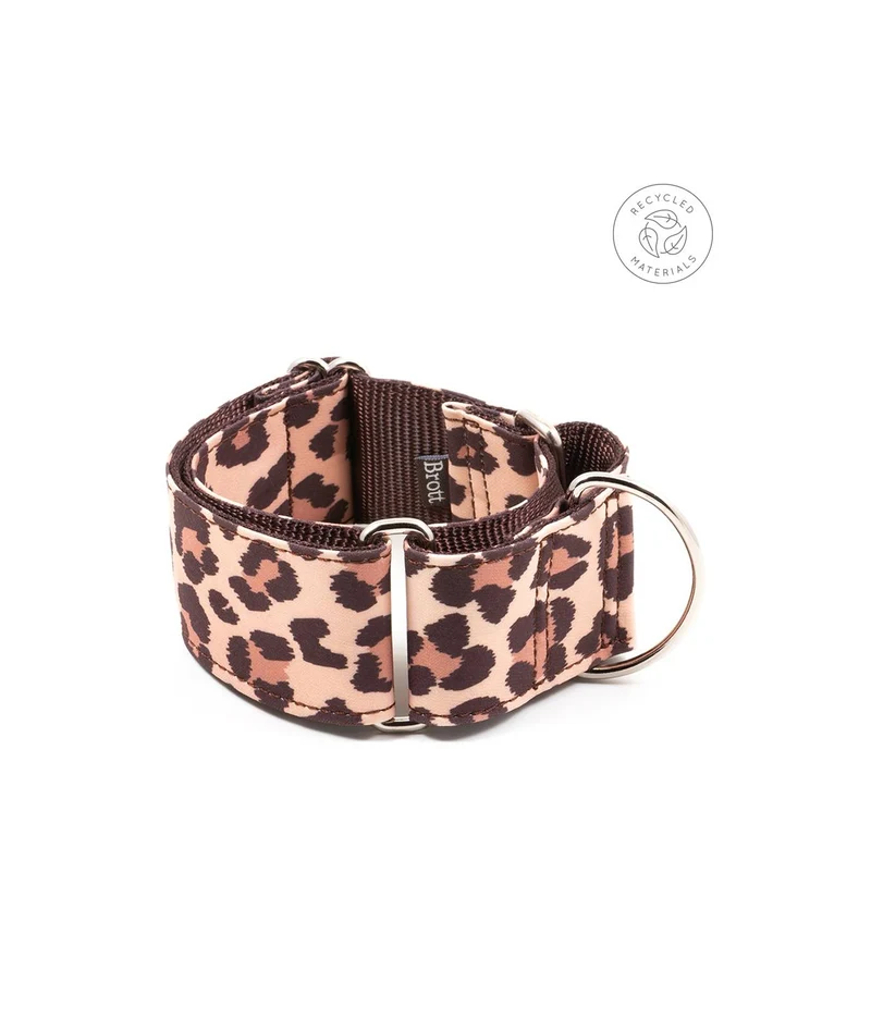 Collier pour chien Copons