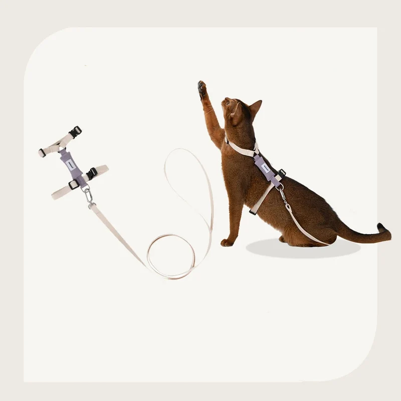 Ensemble Harnais Et Laisse Pour Chat