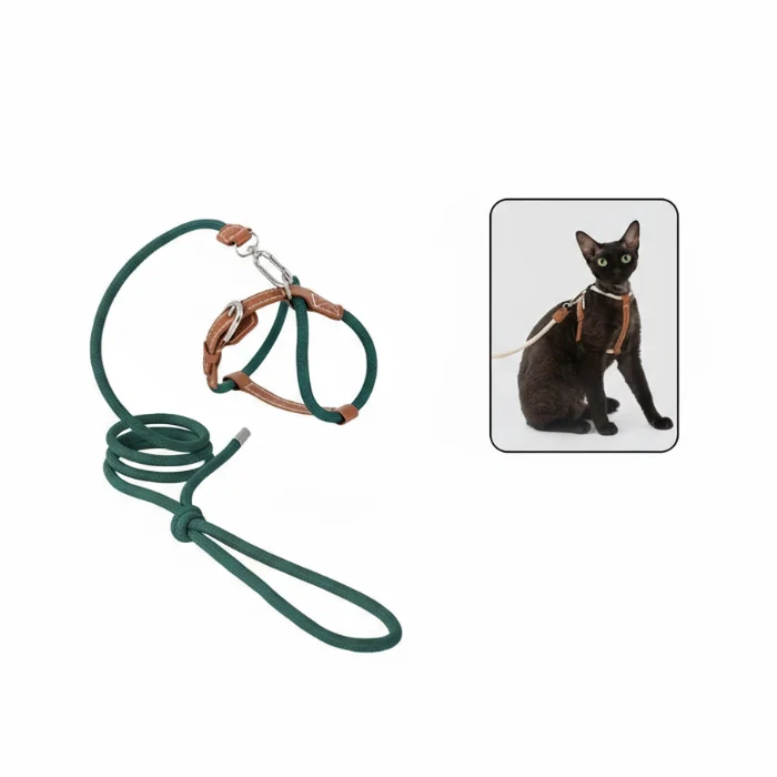 Harnais Réglable Pour Chat Avec Laisse Coordonnée