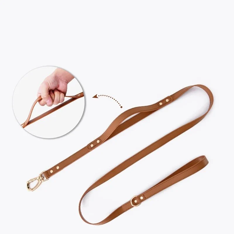 Harnais Et Laisse En Simili Cuir Pour Chien