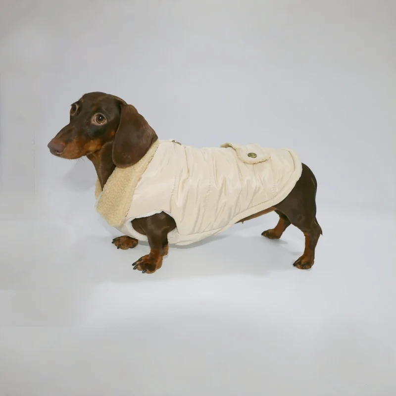 Manteau Teckel Pour Confort Optimal