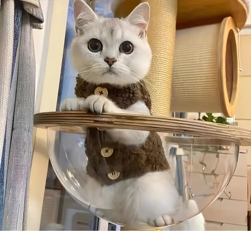 Gilet Chaud Effet Laine Agneau Pour Chat