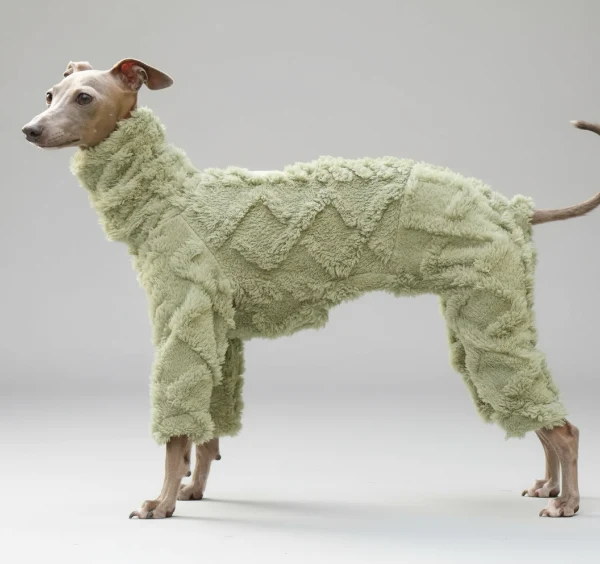 Pull Col Roulé En Polaire Pour Lévrier Et Whippet