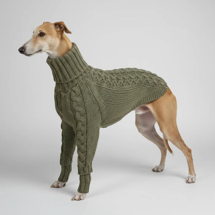 Pull Tricot Torsadé Col Roulé Pour Lévrier Et Whippet