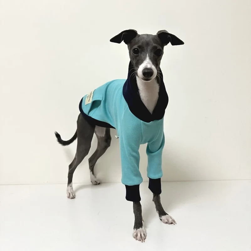 Sweat Bleu Avec Capuche Pour Lévrier