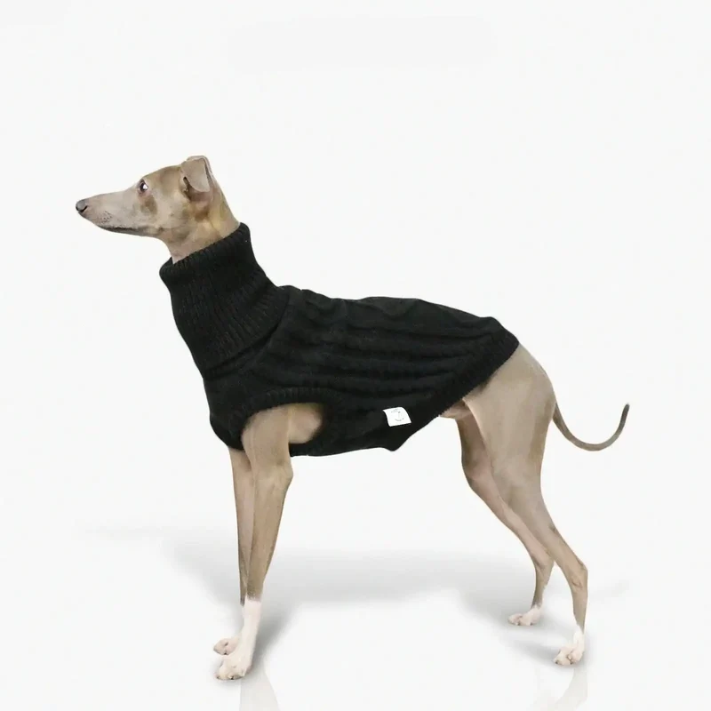 Pull Col Haut En Laine Douce Pour Whippet Et Lévrier