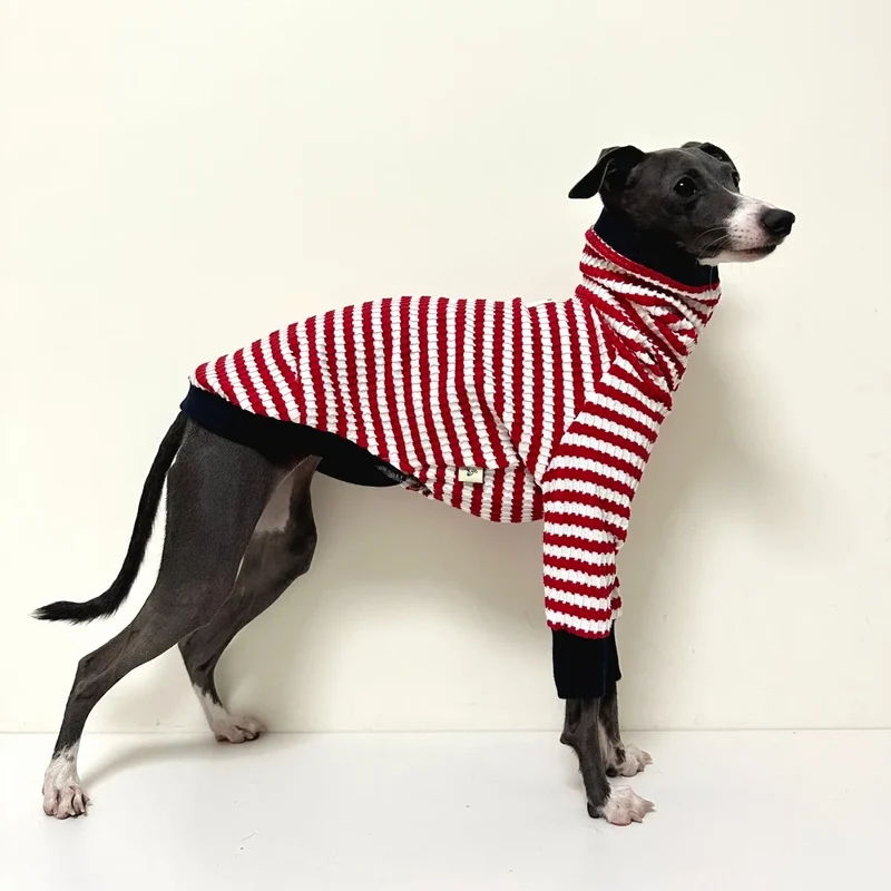 T-Shirt Pour Whippet Et Lévrier Avec Col Haut