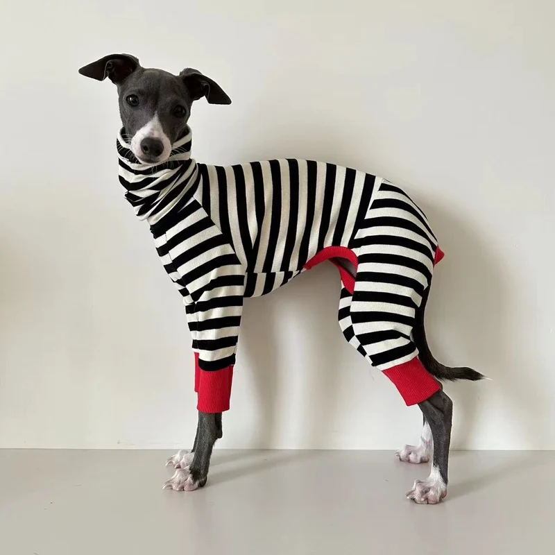 Pull rayé pour chien Oscar et Plume : chaleur douillette et allure chic