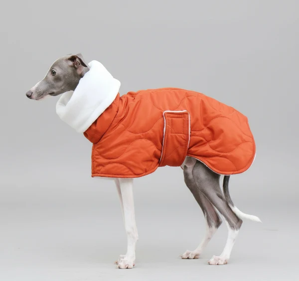 Manteau Imperméable Hiver pour Lévrier Whippet – Coupe Ajustable