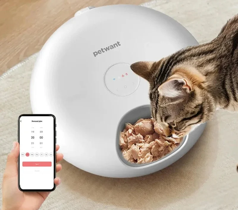 Distributeur Automatique Et Connecté De Nourriture Pour Chat
