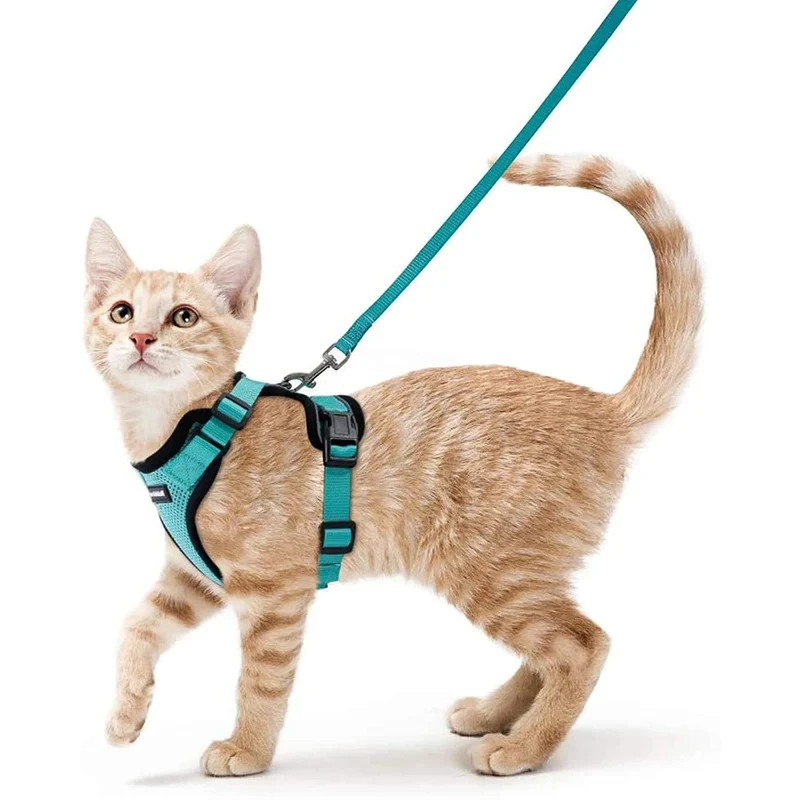 Ensemble Harnais Et Laisse Pour Chat