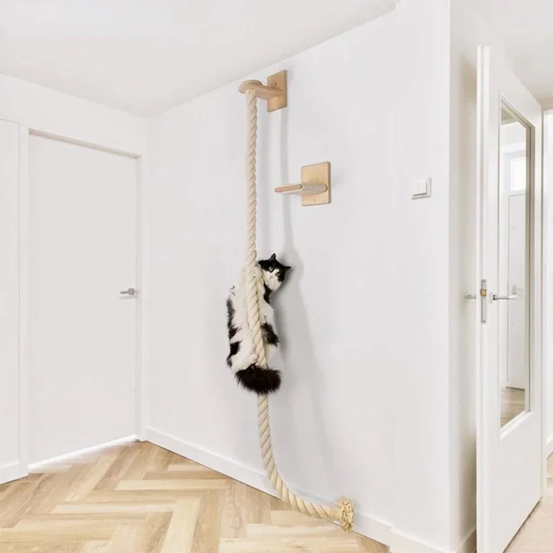 Accessoire Escalade Pour Chat Design Et Robuste