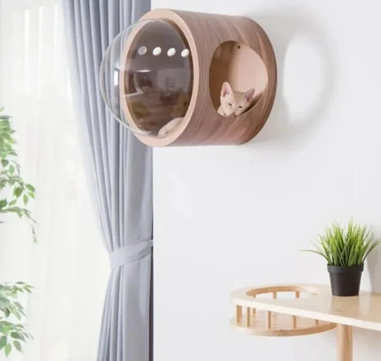 Maison Capsule Murale Design Pour Chat
