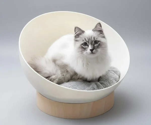 Panier Rond Design Sur Support Bois