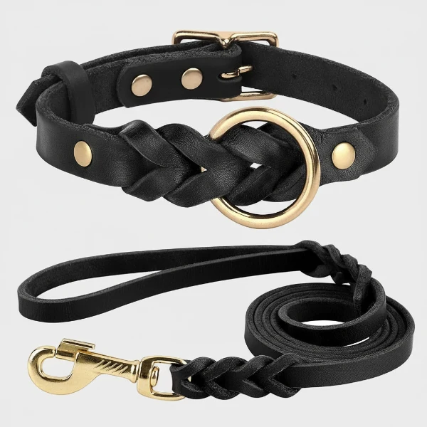 Collier et laisse en cuir pour chien - Design tressé de luxe