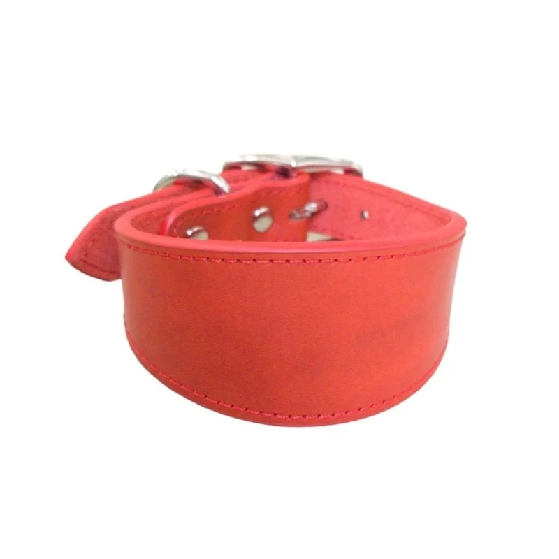 Collier Large En Cuir Véritable Pour Lévrier