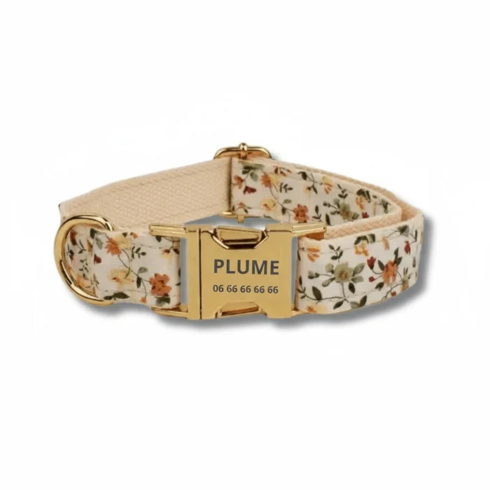Harnais Ou Collier Personnalisable Pour Chien Avec Laisse Assortie