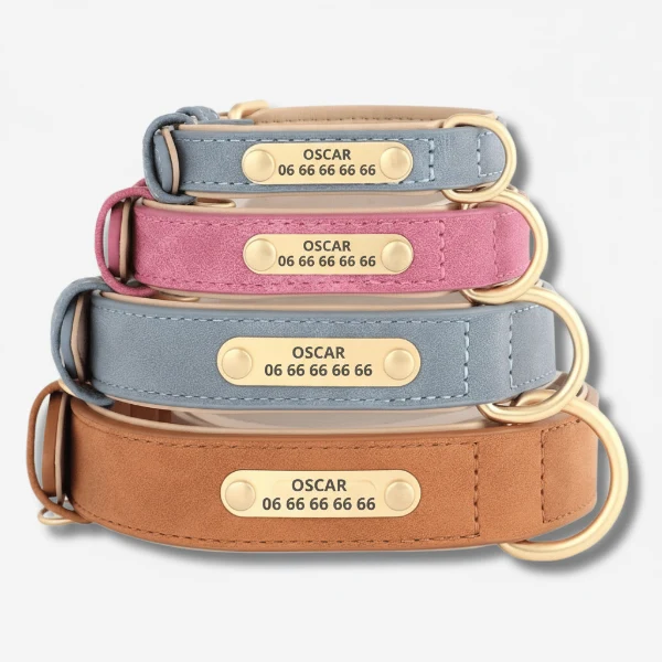 Collier personnalisé pour chien en simili cuir : sécurité, design et confort au quotidien