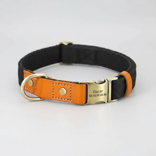 Collier pour chien personnalisable en nylon et cuir