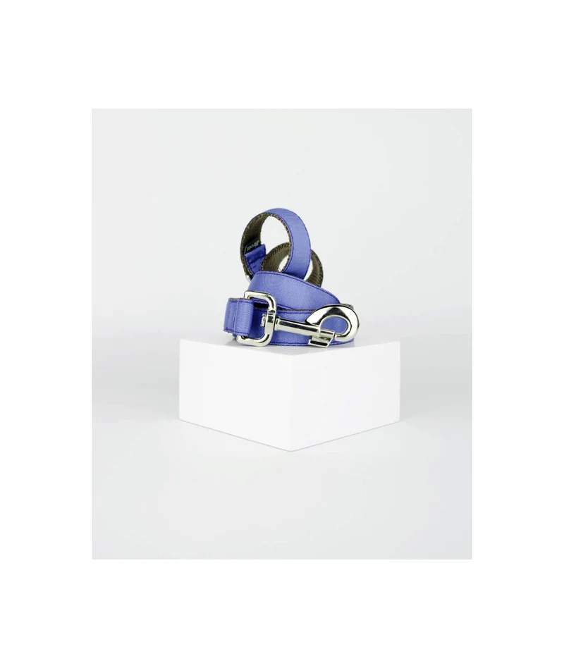 Laisse pour chien unie bleu serenity