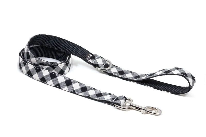 Laisse pour chien Cadi