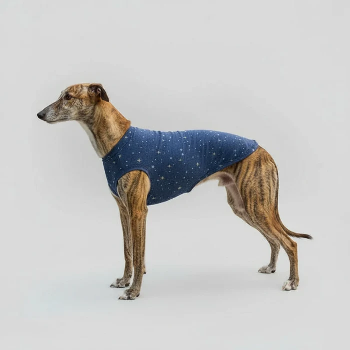T-shirt protection lévrier et whippet - confort et design - Oscar et Plume