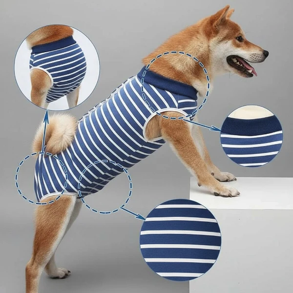 T-Shirt Post-Opératoire Chien Rayé Bleu
