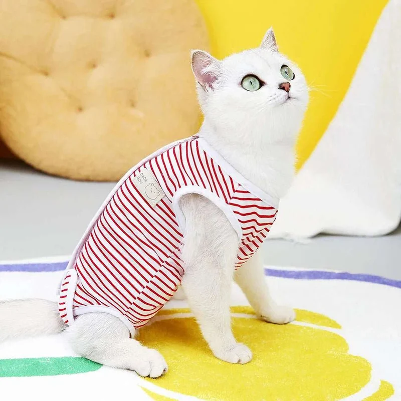 Tee-Shirt Post Opératoire Pour Chat