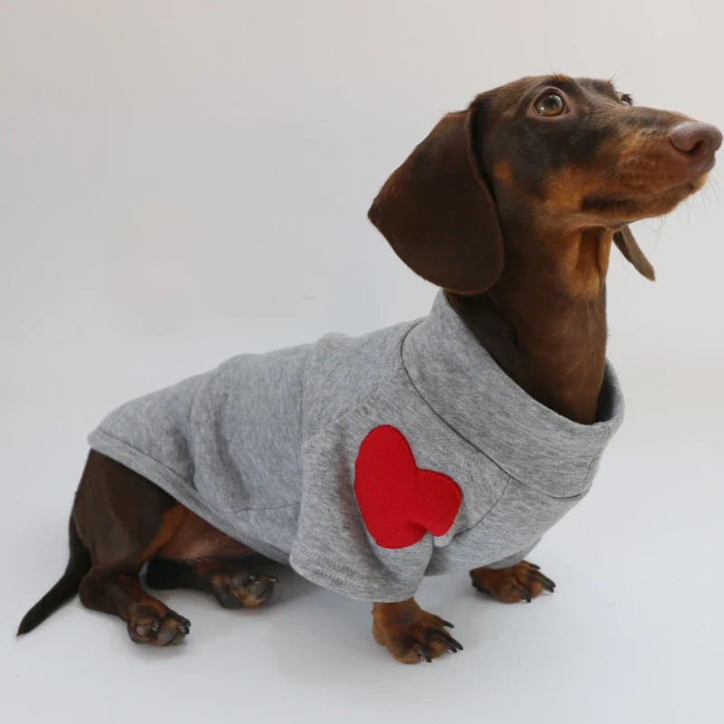 Sweat Love Pour Teckel Confortable En Coton Doux