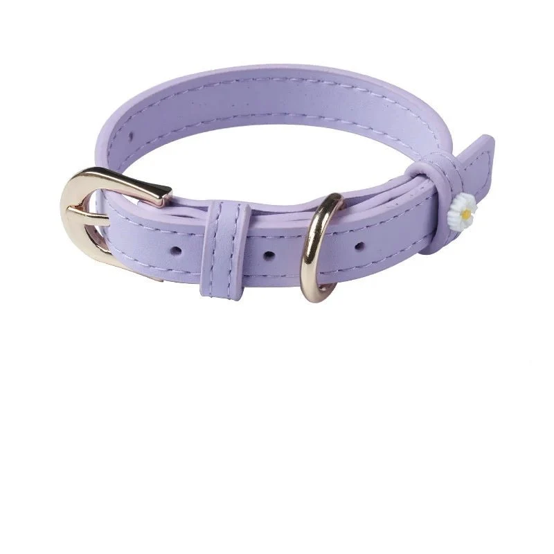 Collier Elégant Et Confortable Pour Chat