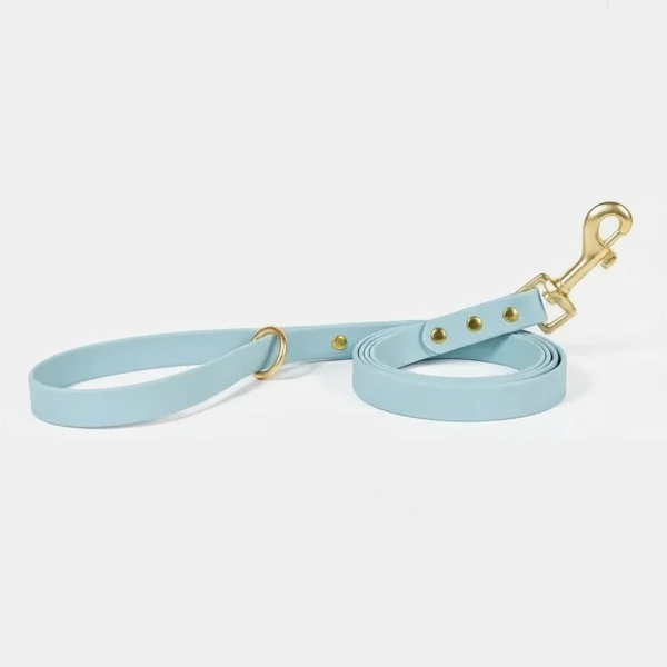 Laisse Imperméable De 1.5 M Pour Chien