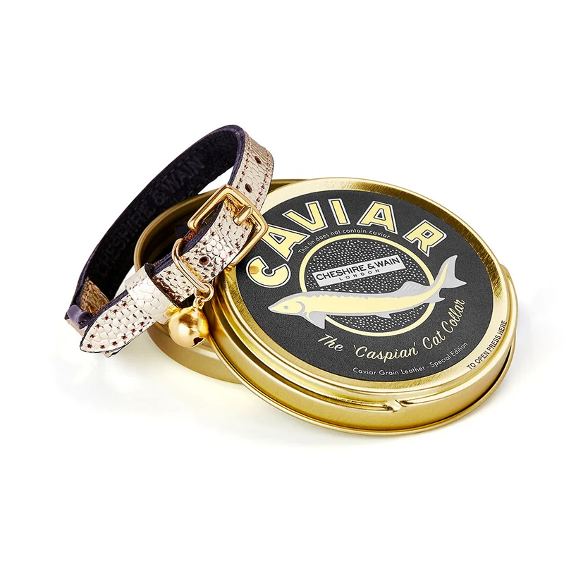 Collier pour chat en cuir Caspian