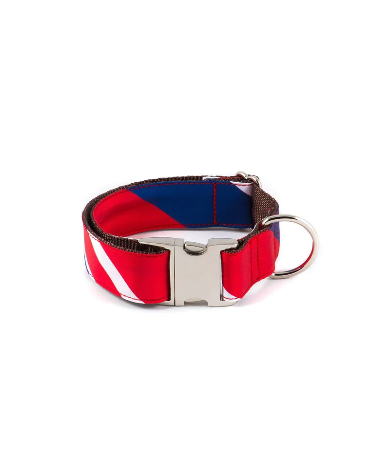 Collier pour chien Beleser classique et martingale