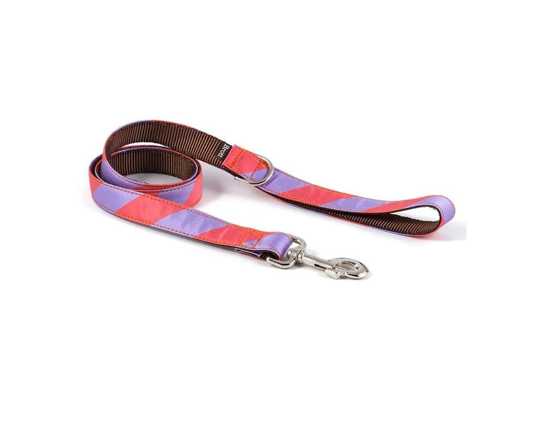 Laisse pour chien Sagaro