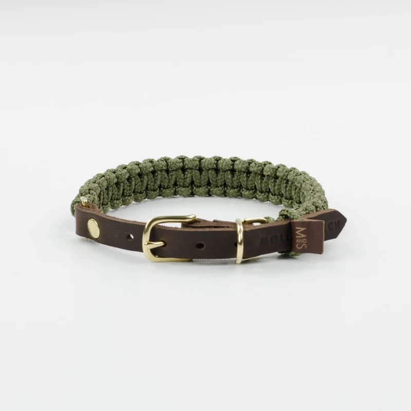 Collier pour chien en corde marine sangle cuir