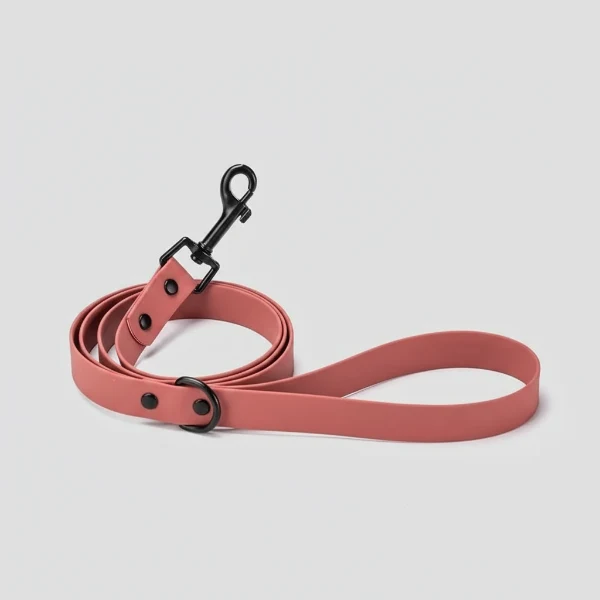 Laisse Imperméable Et Résistante Pour Chien
