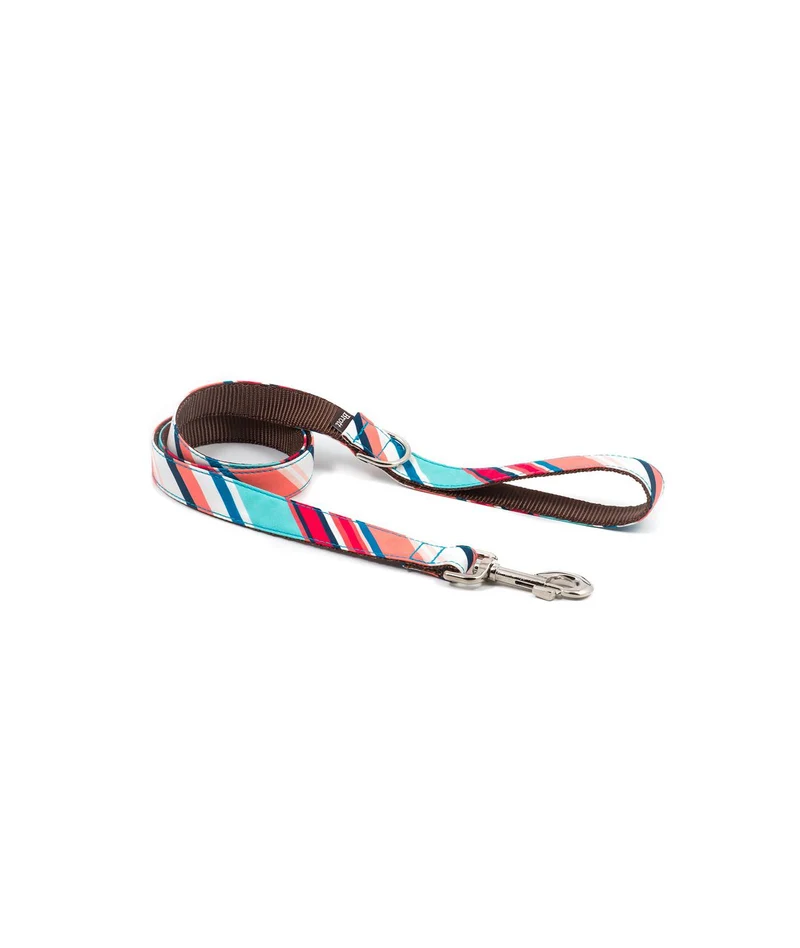 Laisse pour chien Morisca