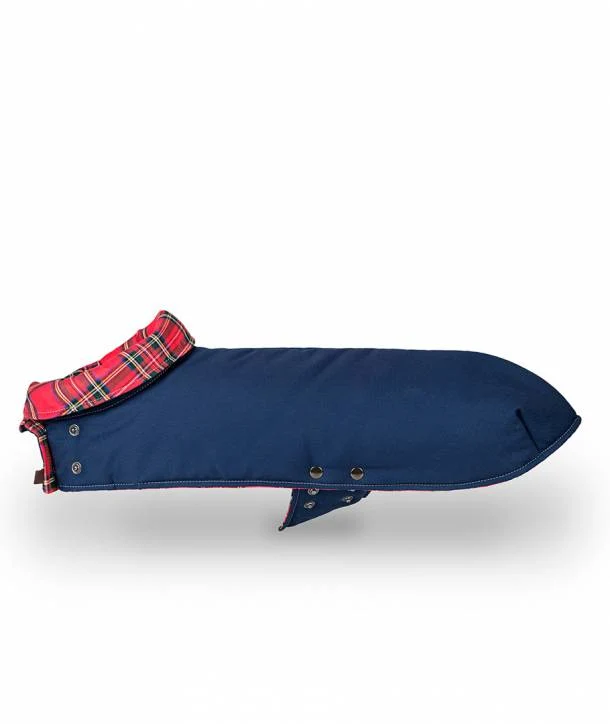 Manteau pour lévriers