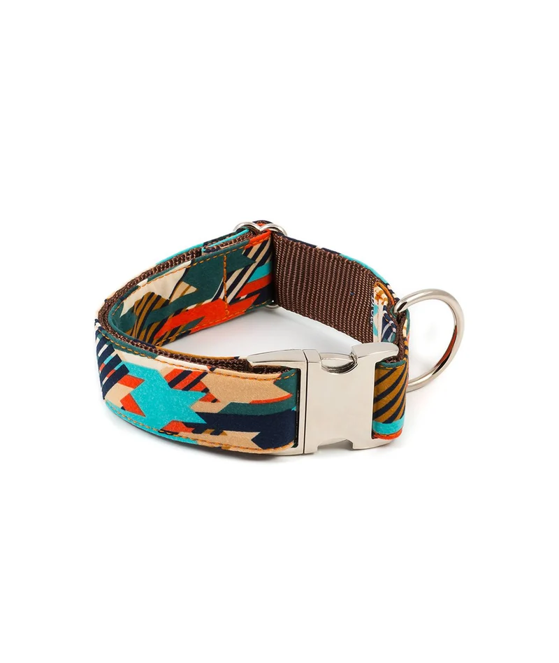 Ensemble Collier et laisse pour chien graphique Torms