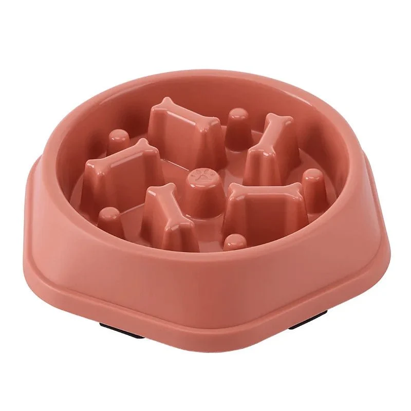 Gamelle Anti Glouton Chien Design Résistant