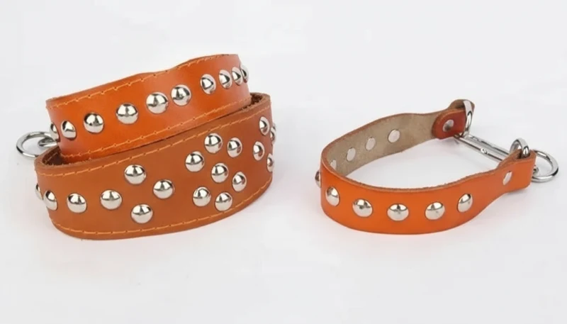 Collier Clouté Ou Avec Incrustation Perles En Cuir Pour Chien