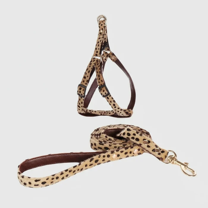 Ensemble Harnais Laisse Léopard Design Petit Chien